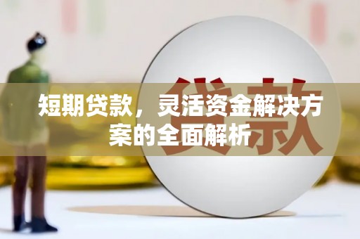 凤泉短期贷款，灵活资金解决方案的全面解析