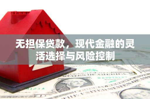 凤泉无担保贷款，现代金融的灵活选择与风险控制