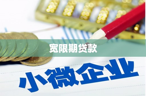 凤泉宽限期贷款