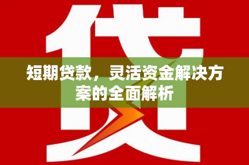 凤泉短期贷款，灵活资金解决方案的全面解析