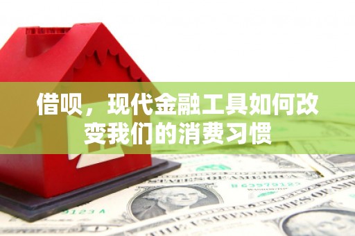 凤泉借呗，现代金融工具如何改变我们的消费习惯