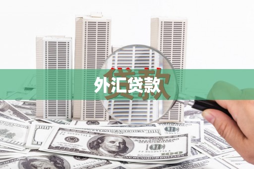 凤泉外汇贷款