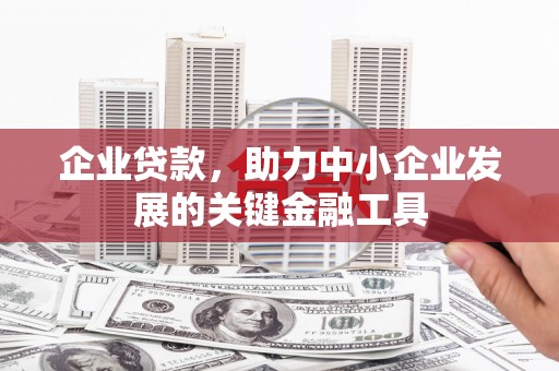 凤泉企业贷款，助力中小企业发展的关键金融工具