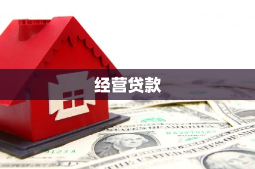 凤泉经营贷款
