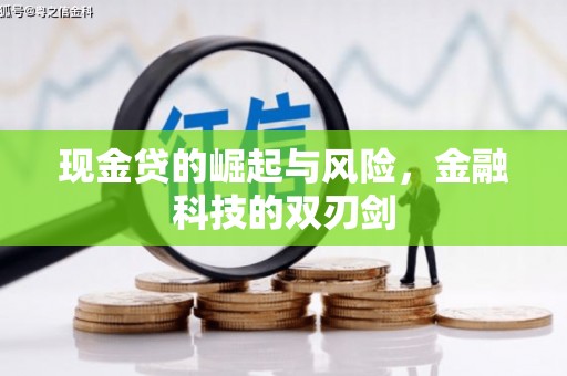 凤泉现金贷的崛起与风险，金融科技的双刃剑