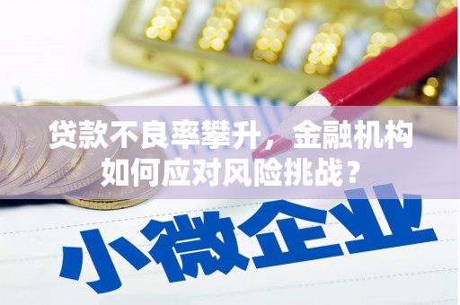 凤泉贷款不良率攀升，金融机构如何应对风险挑战？