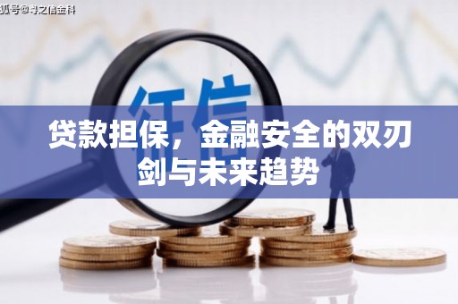 凤泉贷款担保，金融安全的双刃剑与未来趋势