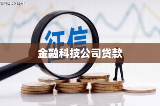 凤泉金融科技公司贷款