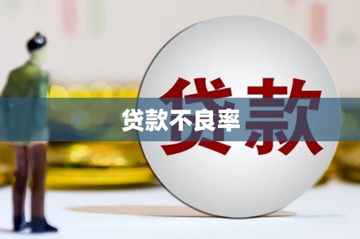 凤泉贷款不良率