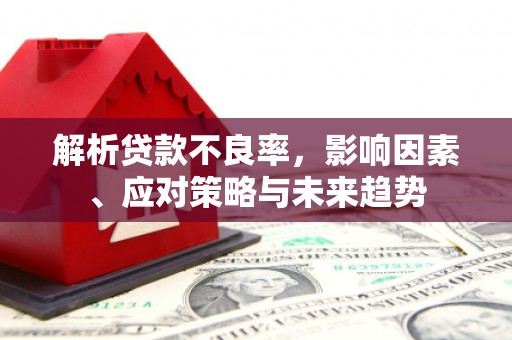凤泉解析贷款不良率，影响因素、应对策略与未来趋势
