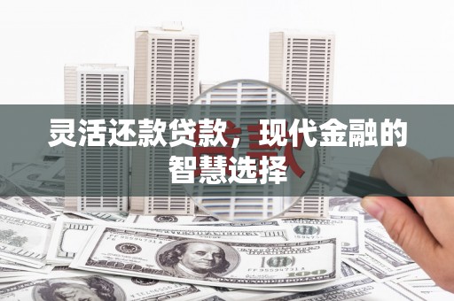 凤泉灵活还款贷款，现代金融的智慧选择