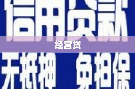 凤泉经营贷