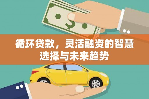 凤泉循环贷款，灵活融资的智慧选择与未来趋势