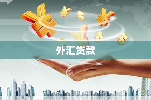凤泉外汇贷款