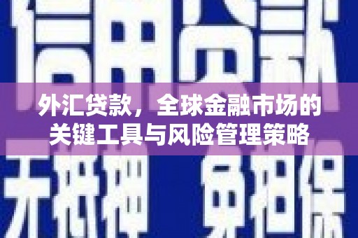 凤泉外汇贷款，全球金融市场的关键工具与风险管理策略