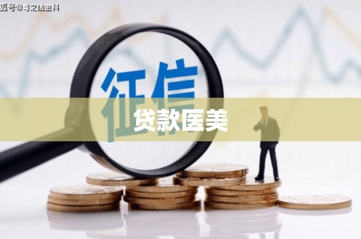 凤泉贷款医美