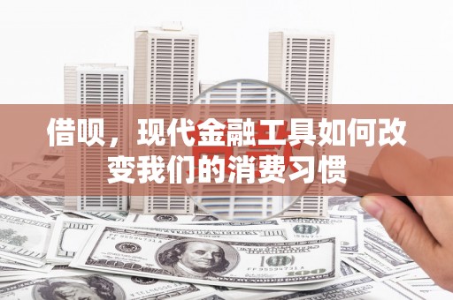 凤泉借呗，现代金融工具如何改变我们的消费习惯