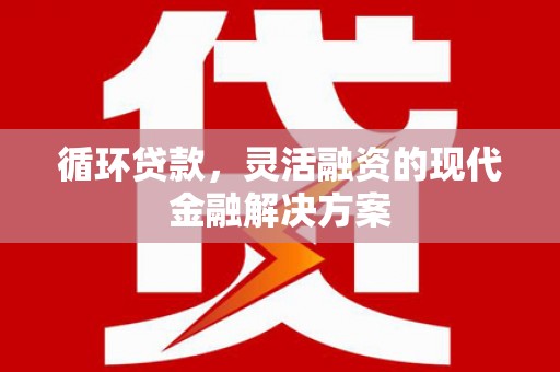 凤泉循环贷款，灵活融资的现代金融解决方案