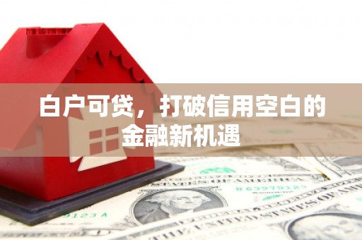 凤泉白户可贷，打破信用空白的金融新机遇