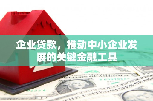 凤泉企业贷款，推动中小企业发展的关键金融工具