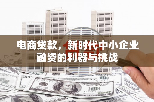 凤泉电商贷款，新时代中小企业融资的利器与挑战