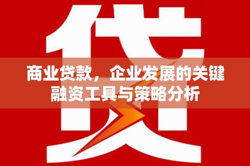 凤泉商业贷款，企业发展的关键融资工具与策略分析