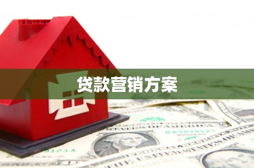 凤泉贷款营销方案