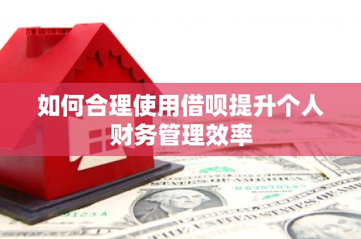 凤泉如何合理使用借呗提升个人财务管理效率