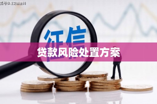 凤泉贷款风险处置方案