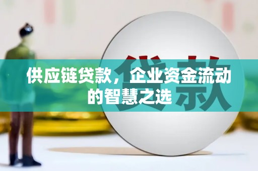 凤泉供应链贷款，企业资金流动的智慧之选