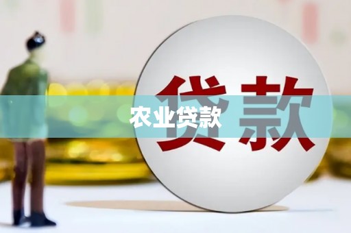 凤泉农业贷款