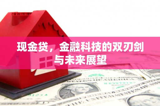 凤泉现金贷，金融科技的双刃剑与未来展望