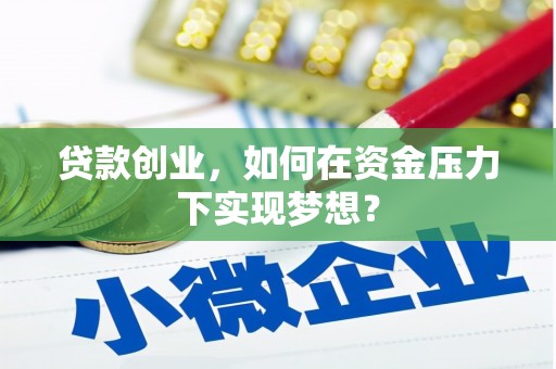 凤泉贷款创业，如何在资金压力下实现梦想？