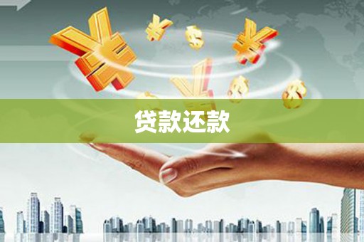 凤泉贷款还款