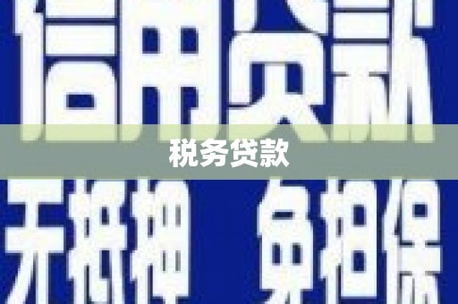 凤泉税务贷款