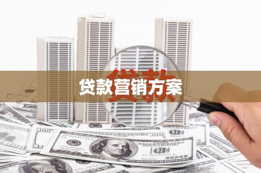 凤泉贷款营销方案