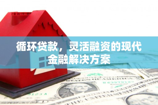 凤泉循环贷款，灵活融资的现代金融解决方案