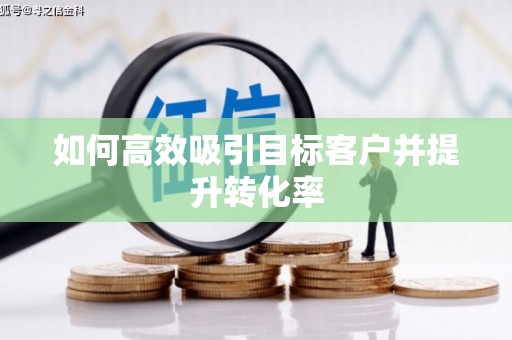 凤泉如何高效吸引目标客户并提升转化率