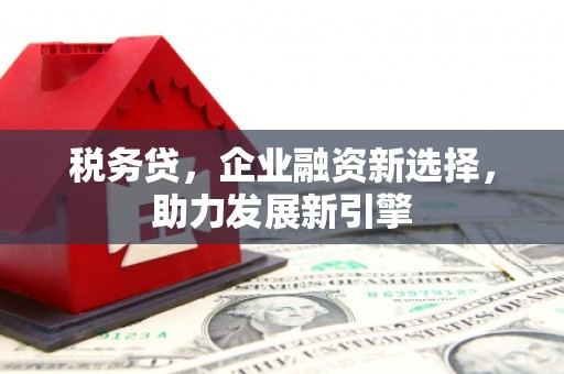 凤泉税务贷，企业融资新选择，助力发展新引擎
