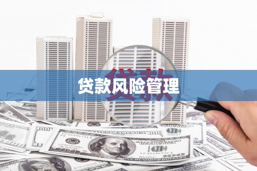 凤泉贷款风险管理