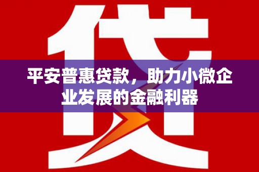 凤泉平安普惠贷款，助力小微企业发展的金融利器