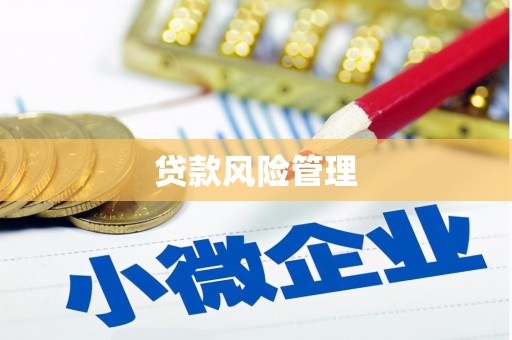 凤泉贷款风险管理