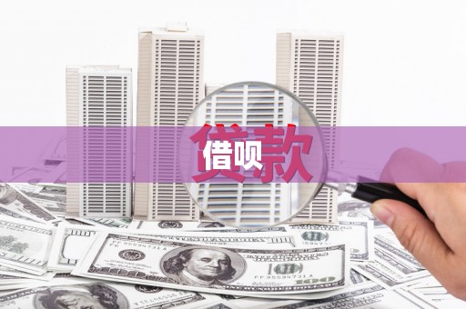 凤泉借呗