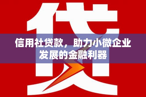 凤泉信用社贷款，助力小微企业发展的金融利器