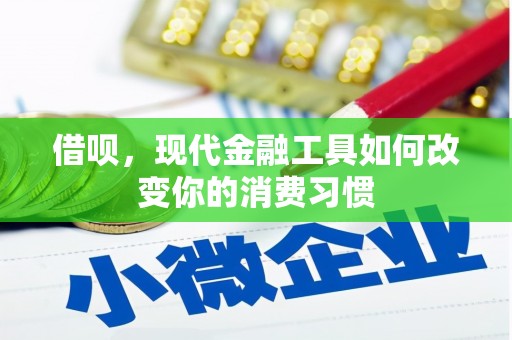 凤泉借呗，现代金融工具如何改变你的消费习惯