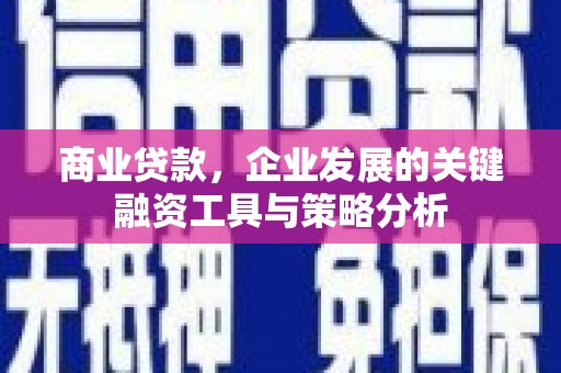 凤泉商业贷款，企业发展的关键融资工具与策略分析
