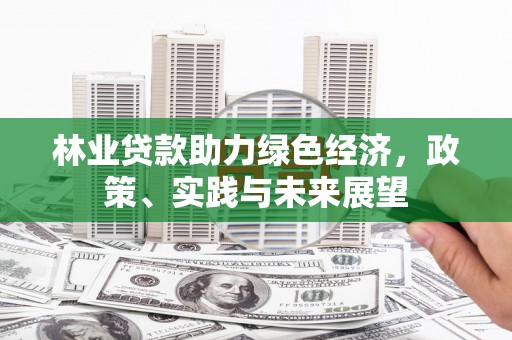 凤泉林业贷款助力绿色经济，政策、实践与未来展望
