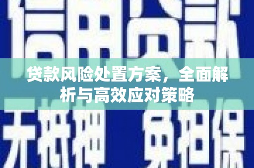 凤泉贷款风险处置方案，全面解析与高效应对策略