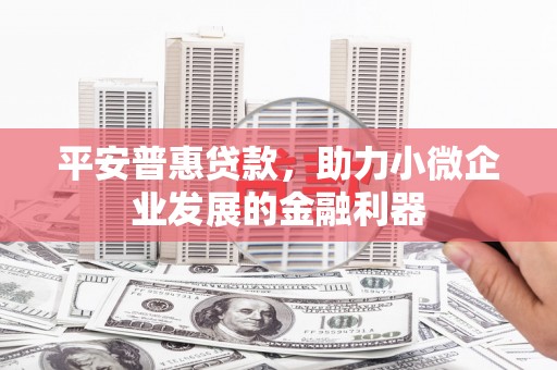 凤泉平安普惠贷款，助力小微企业发展的金融利器
