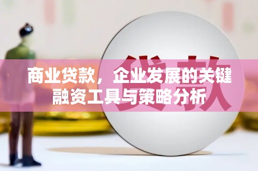 凤泉商业贷款，企业发展的关键融资工具与策略分析